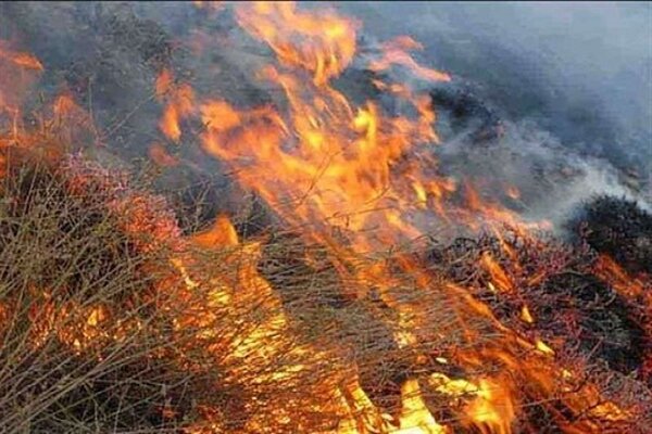 مهار آتش سوزی در مراتع ساوجبلاغ