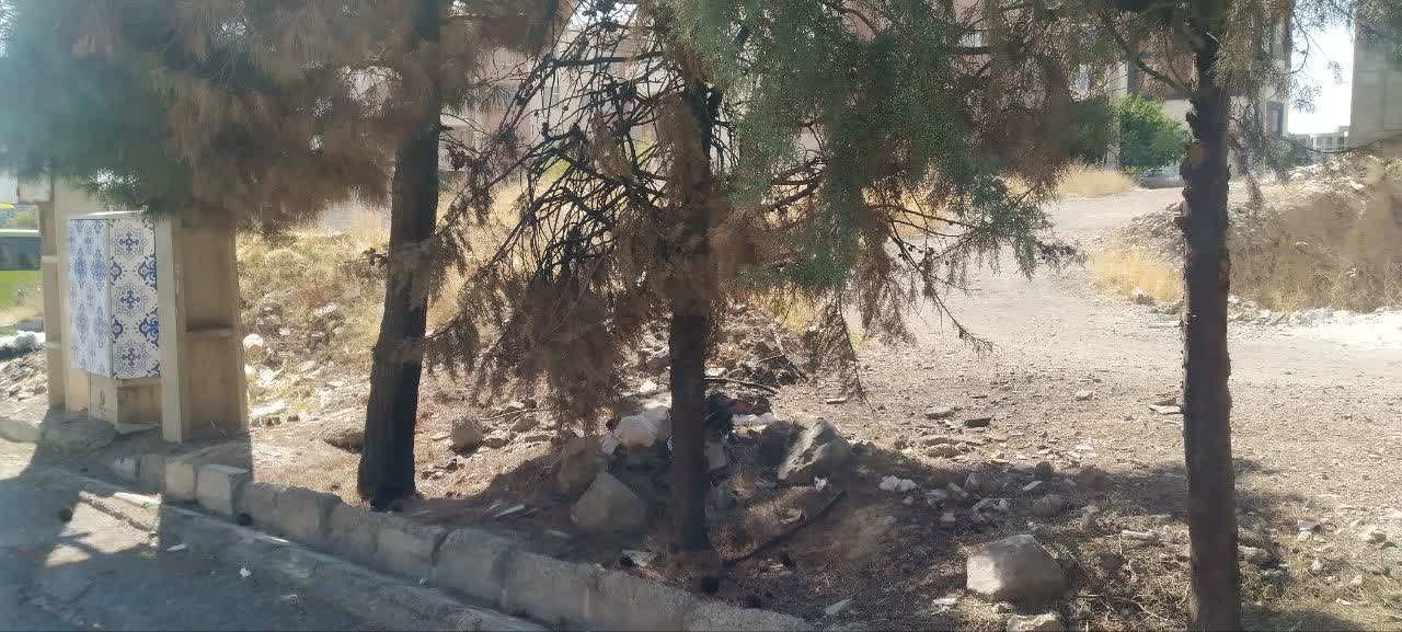 وضعیت نامناسب و اسف بار بلوار ارغوان 